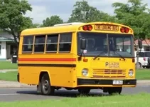 motoristas e monitores do transporte escolar