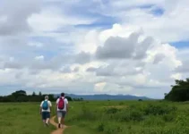 caminhada dos romeiros