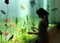 exposição sensorial
