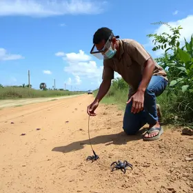 Juazeiro do Norte