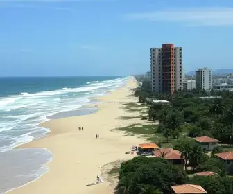 fraude em contratos